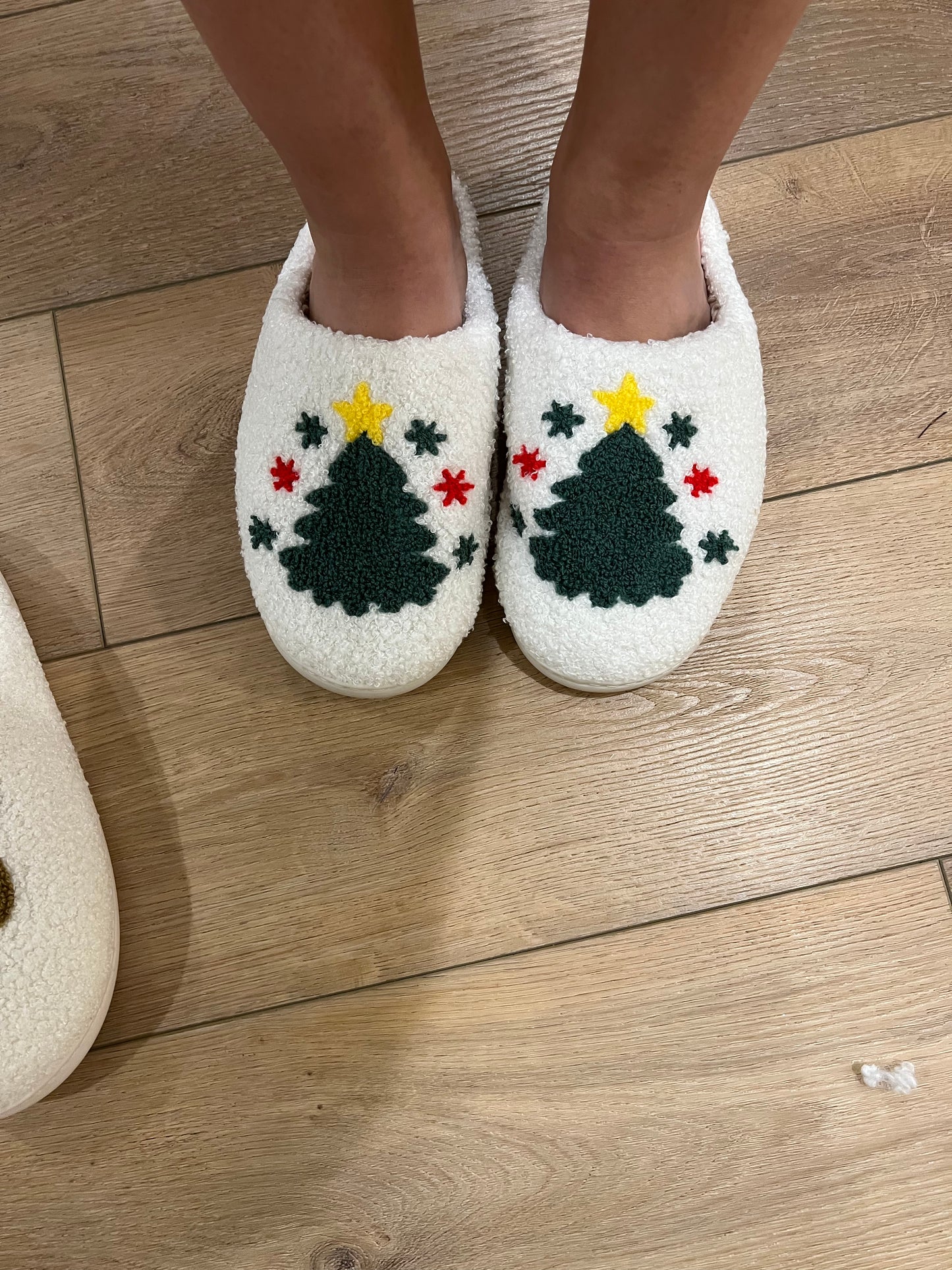 HC- Slippers